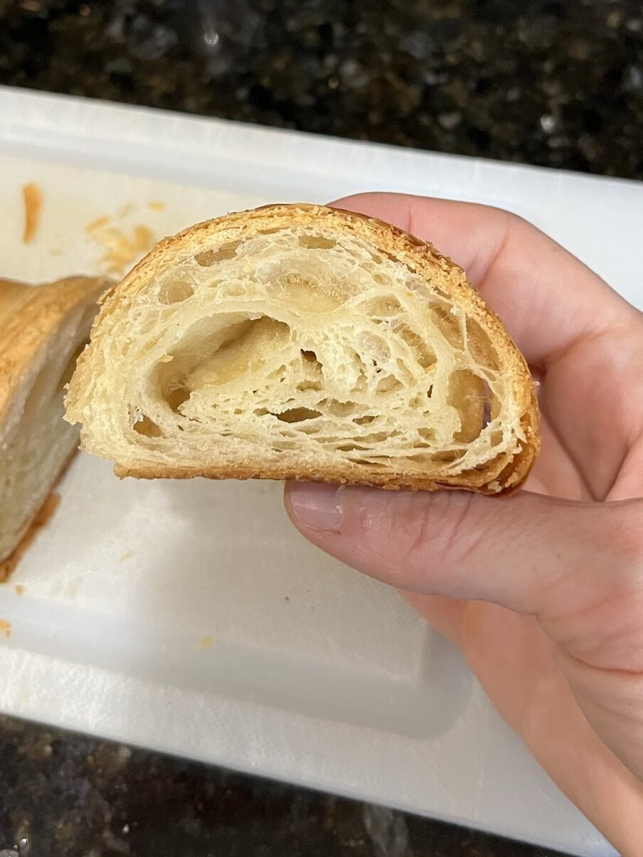 A cross-section of a croissant